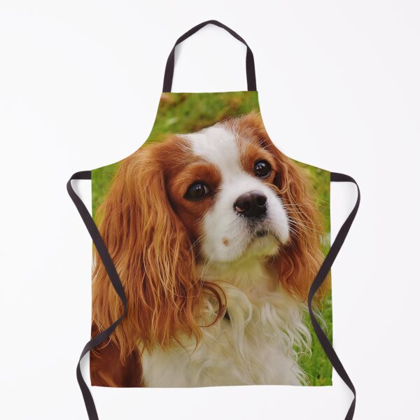Artikelvorschau, Cavalier King Charles Spaniel Foto entworfen und verkauft von TheAnimalZ00.