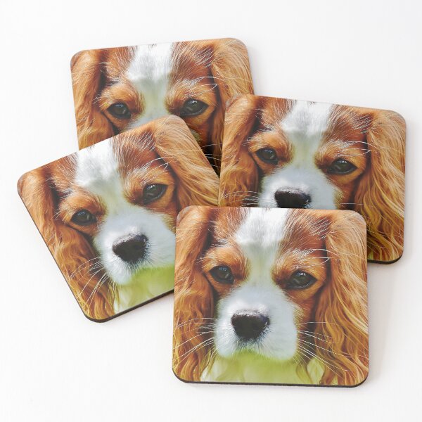 Item preview, Closeup Photo Of A Cavalier King Charles Spaniel designed and sold by TheAnimalZ00.