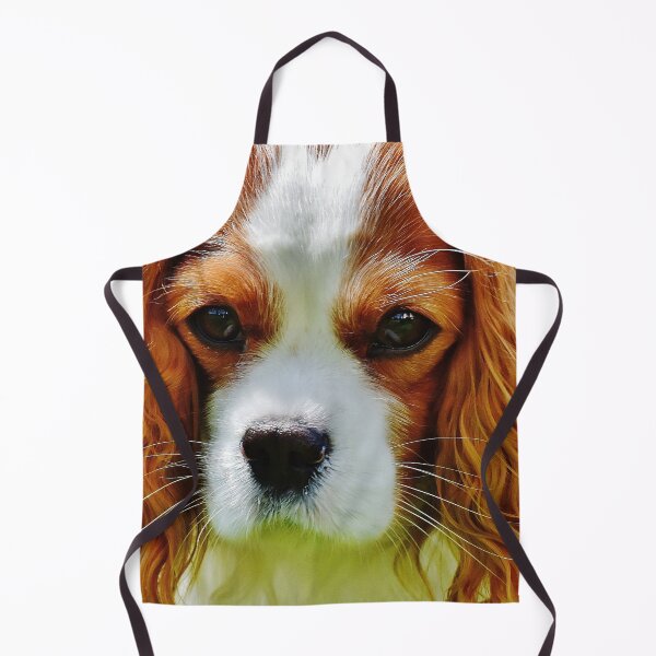 Artikelvorschau, Nahaufnahme Foto von einem Cavalier King Charles Spaniel entworfen und verkauft von TheAnimalZ00.