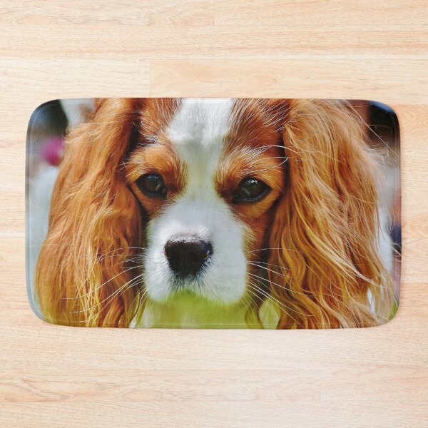 Item preview, Closeup Photo Of A Cavalier King Charles Spaniel designed and sold by TheAnimalZ00.