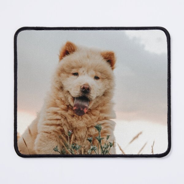 Item preview, Photo Of A Chow Chow Puppy designed and sold by TheAnimalZ00.