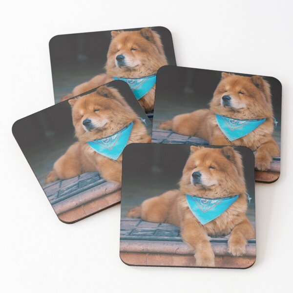 Aperçu de l'œuvre Photo de Chow-Chow créée et vendue par TheAnimalZ00.