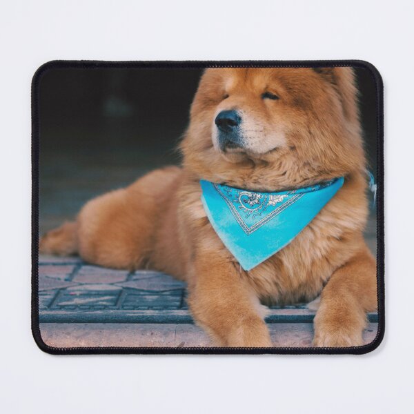 Item preview, Chow Chow Photo designed and sold by TheAnimalZ00.