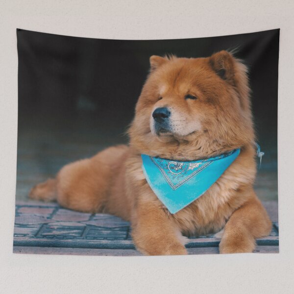 Artikelvorschau, Chow-Chow-Foto entworfen und verkauft von TheAnimalZ00.