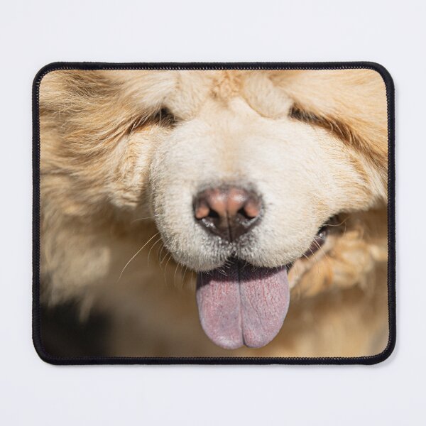 Item preview, Chow Chow Face Photo designed and sold by TheAnimalZ00.