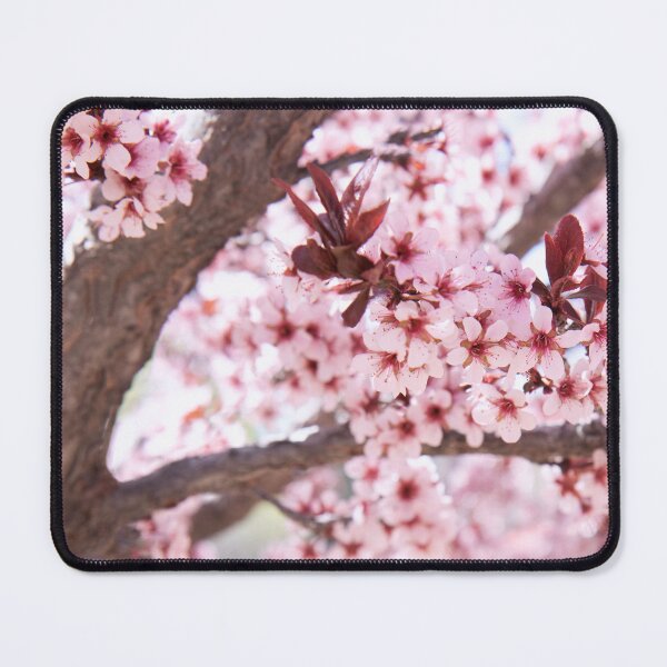 Item preview, Spring time blooming cherry tree designed and sold by Ruth Jolly.