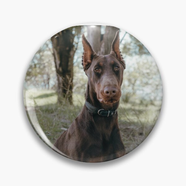 Item preview, Doberman Portrait Photo designed and sold by TheAnimalZ00.
