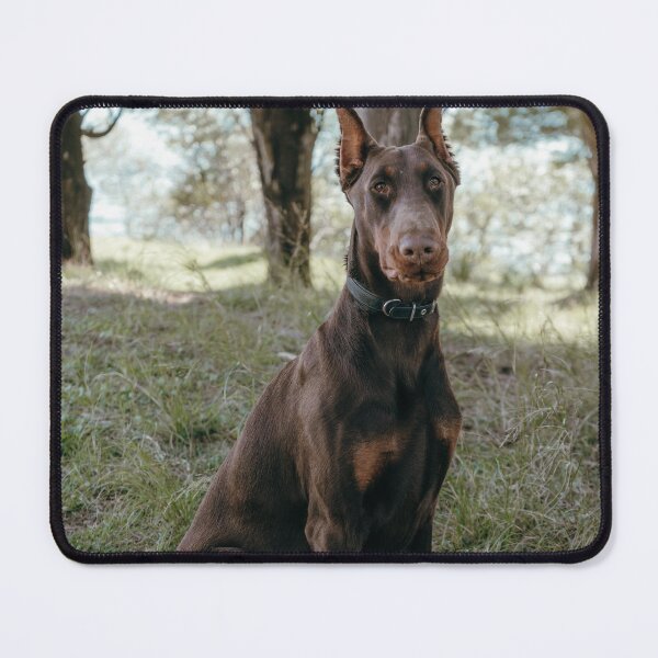 Item preview, Doberman Portrait Photo designed and sold by TheAnimalZ00.