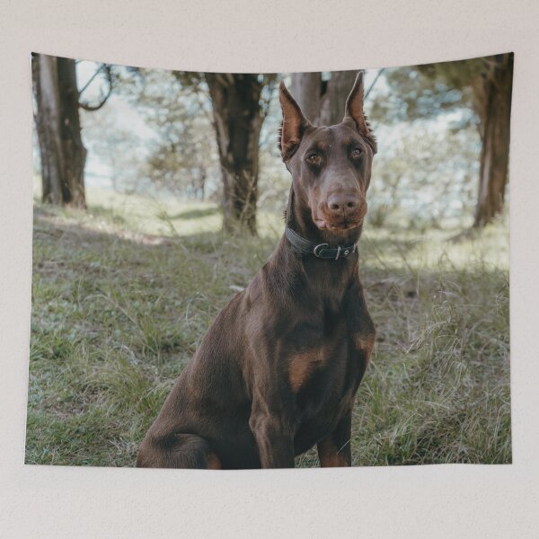 Item preview, Doberman Portrait Photo designed and sold by TheAnimalZ00.