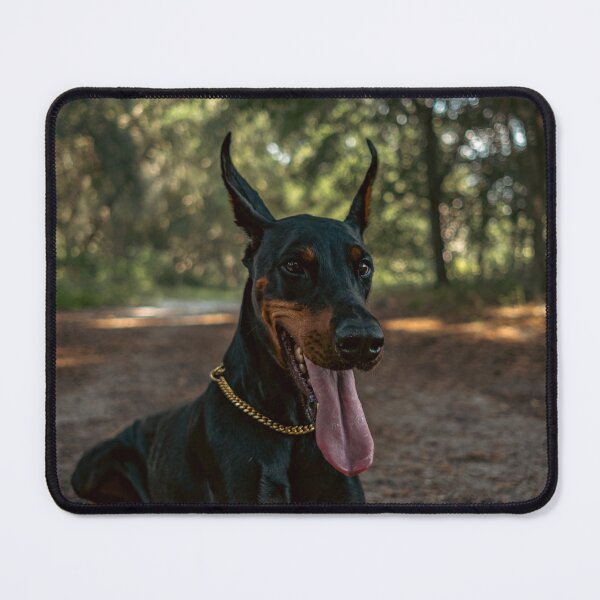 Item preview, Cute Doberman Portrait Photo designed and sold by TheAnimalZ00.