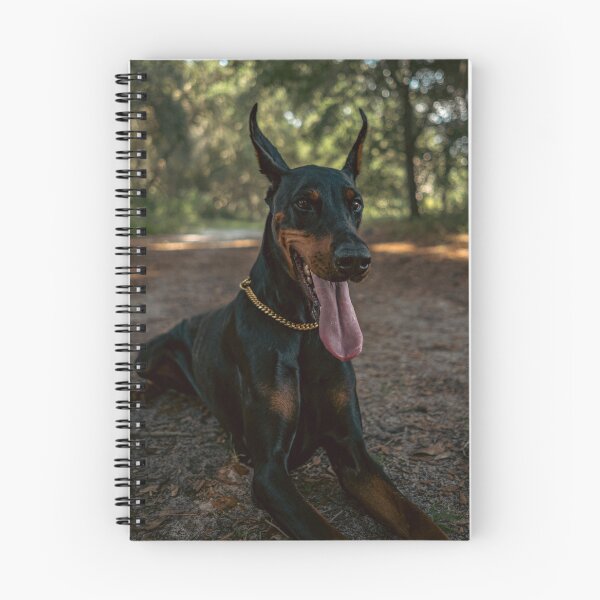 Item preview, Cute Doberman Portrait Photo designed and sold by TheAnimalZ00.