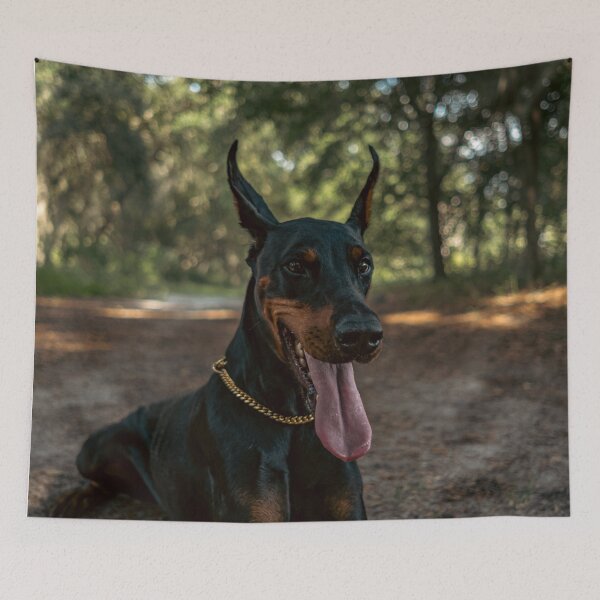 Item preview, Cute Doberman Portrait Photo designed and sold by TheAnimalZ00.