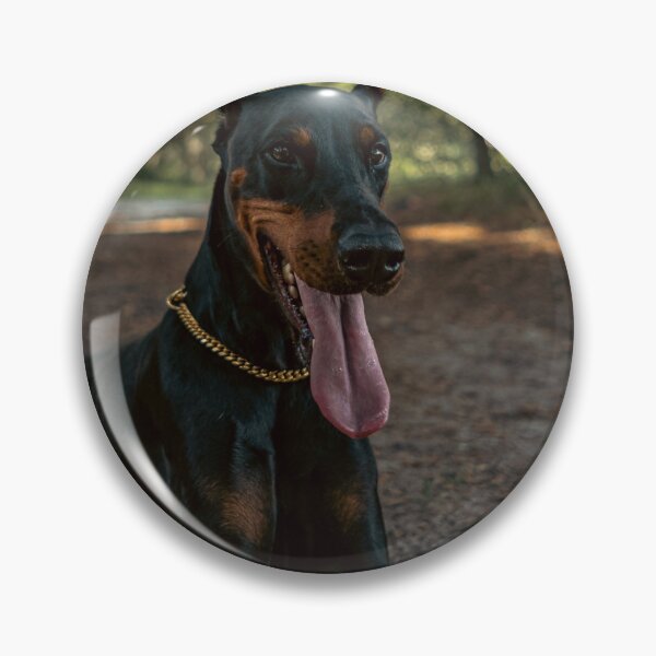 Item preview, Cute Doberman Portrait Photo designed and sold by TheAnimalZ00.