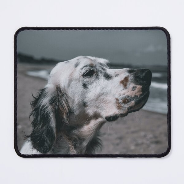 Item preview, English Setter Portrait Photo designed and sold by TheAnimalZ00.