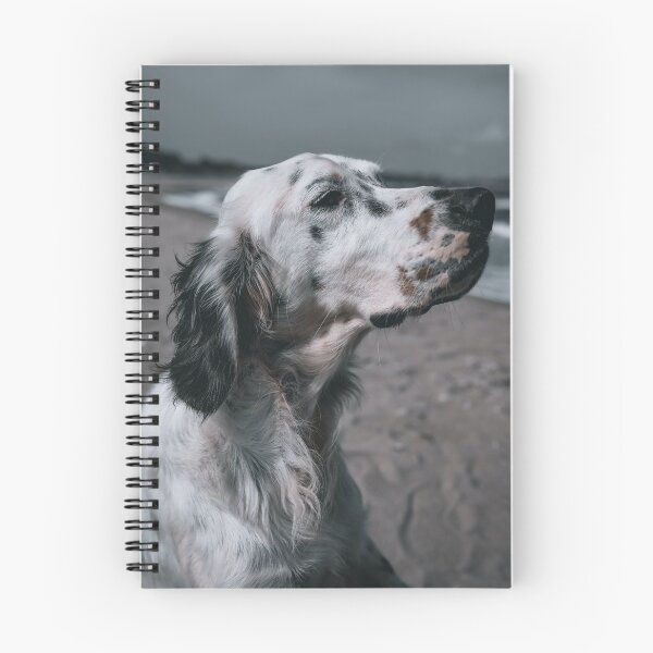 Artikelvorschau, English Setter Porträtfoto entworfen und verkauft von TheAnimalZ00.