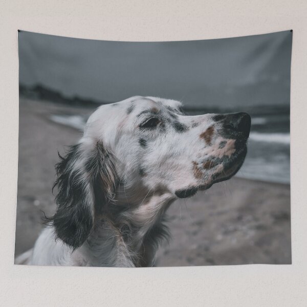 Artikelvorschau, English Setter Porträtfoto entworfen und verkauft von TheAnimalZ00.