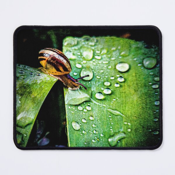 Item preview, Snail designed and sold by Visual Arts Sławomir Grzanek.