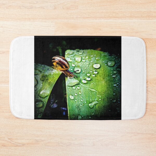 Item preview, Snail designed and sold by Visual Arts Sławomir Grzanek.
