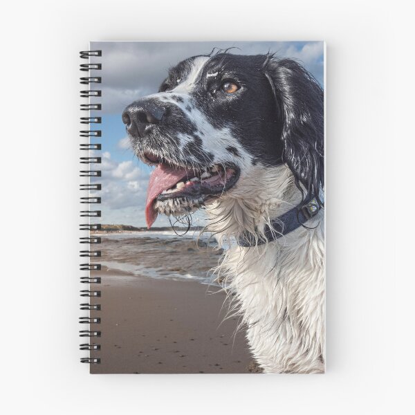 Artikelvorschau, Englischer Setter-Hund am Strand entworfen und verkauft von TheAnimalZ00.