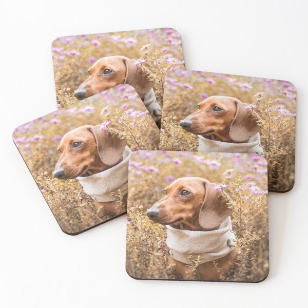 Item preview, Cute Dachshund Photo designed and sold by TheAnimalZ00.