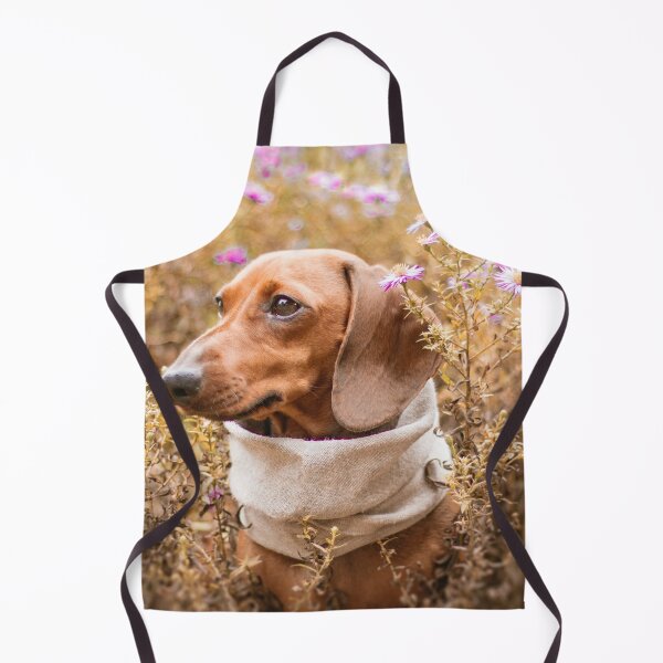 Item preview, Cute Dachshund Photo designed and sold by TheAnimalZ00.