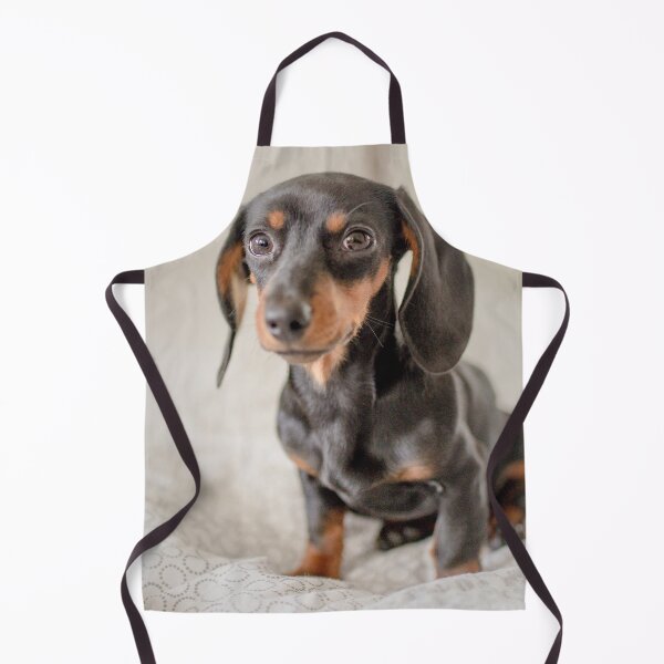 Item preview, Cute Dachshund Puppy Photo designed and sold by TheAnimalZ00.
