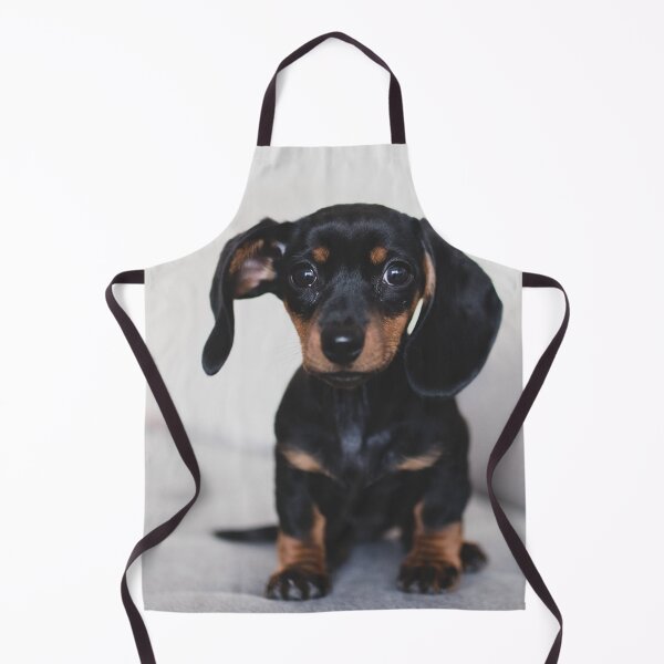 Item preview, Cute Dachshund Puppy Photo designed and sold by TheAnimalZ00.