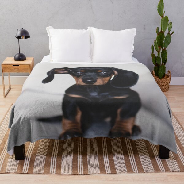 Item preview, Cute Dachshund Puppy Photo designed and sold by TheAnimalZ00.