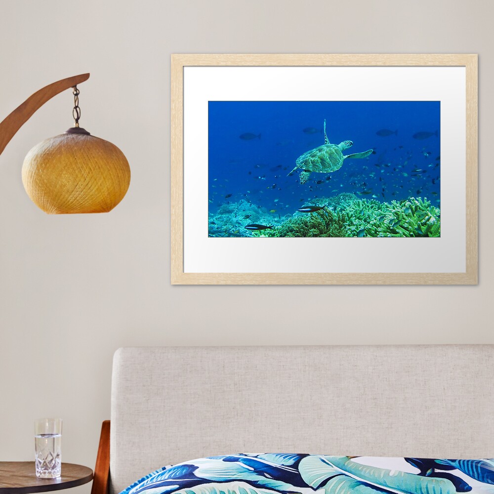 Penyu Framed Art Print