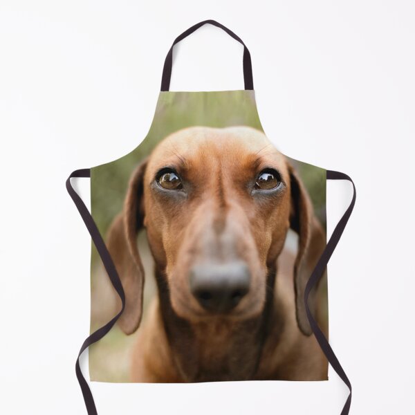 Item preview, Closeup Dachshund Photo designed and sold by TheAnimalZ00.