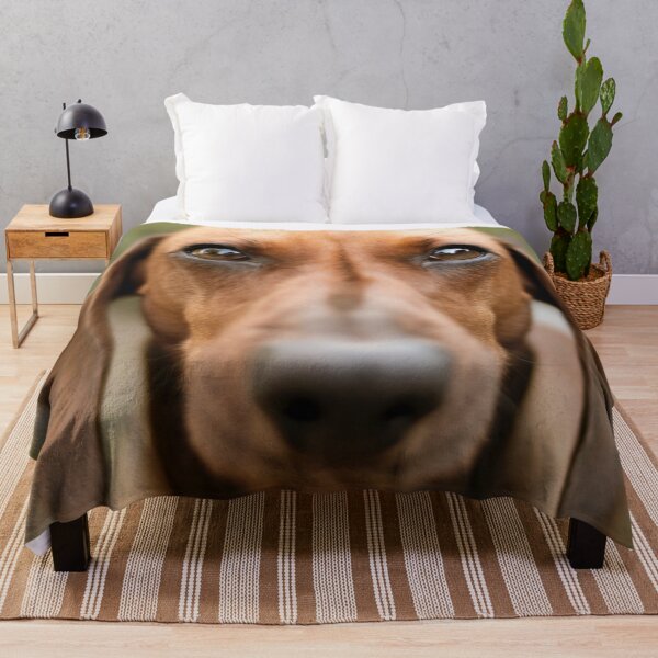 Item preview, Closeup Dachshund Photo designed and sold by TheAnimalZ00.