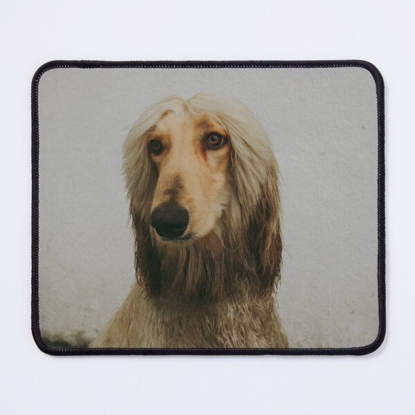 Item preview, Afghan Hound Photo designed and sold by TheAnimalZ00.