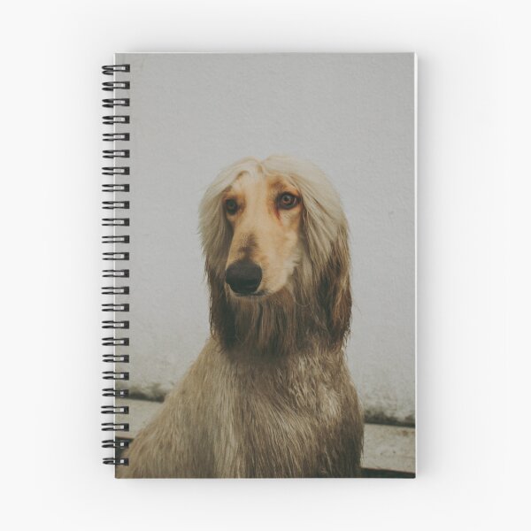 Item preview, Afghan Hound Photo designed and sold by TheAnimalZ00.