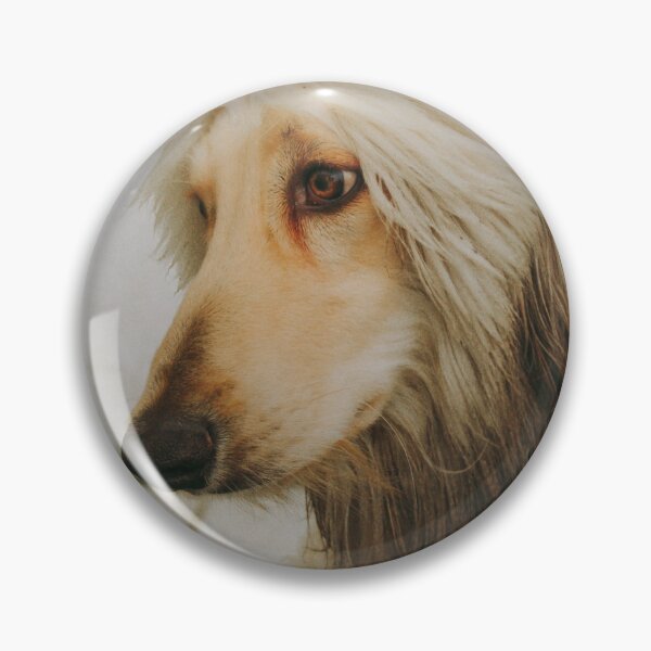 Item preview, Afghan Hound Photo designed and sold by TheAnimalZ00.