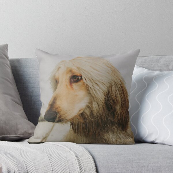 Item preview, Afghan Hound Photo designed and sold by TheAnimalZ00.