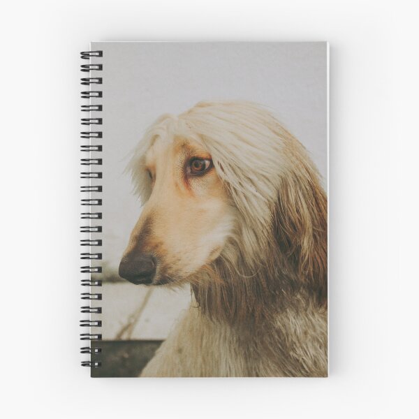 Item preview, Afghan Hound Photo designed and sold by TheAnimalZ00.