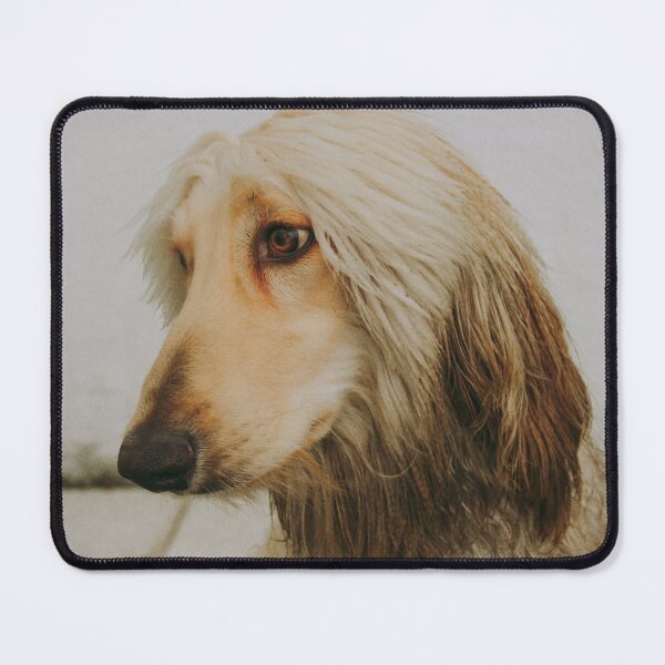 Item preview, Afghan Hound Photo designed and sold by TheAnimalZ00.