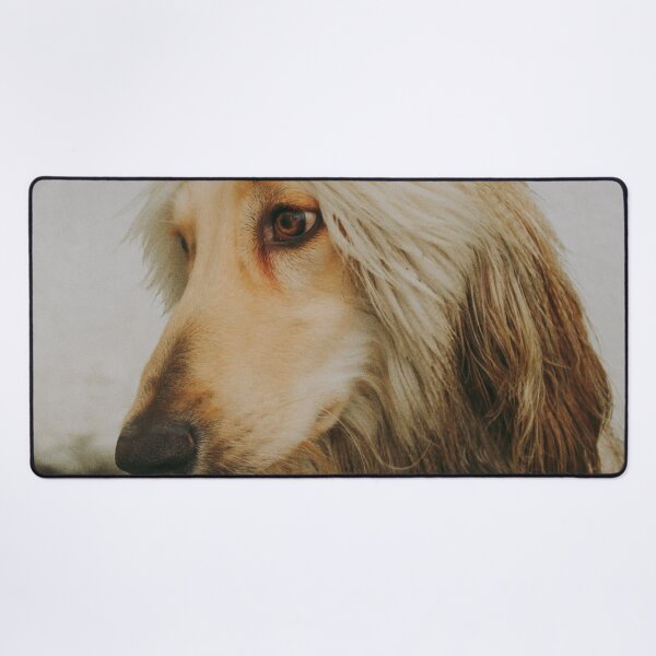 Item preview, Afghan Hound Photo designed and sold by TheAnimalZ00.