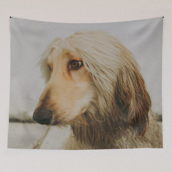 Item preview, Afghan Hound Photo designed and sold by TheAnimalZ00.