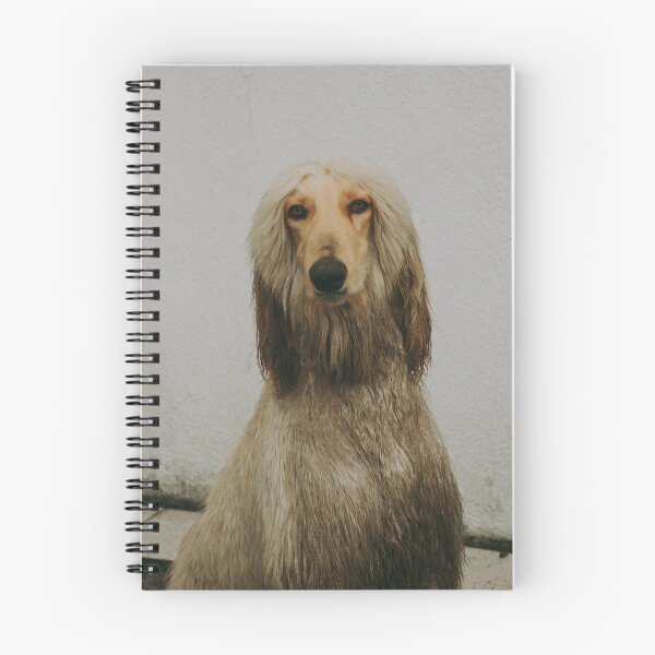 Item preview, Afghan Hound Portrait Photo designed and sold by TheAnimalZ00.