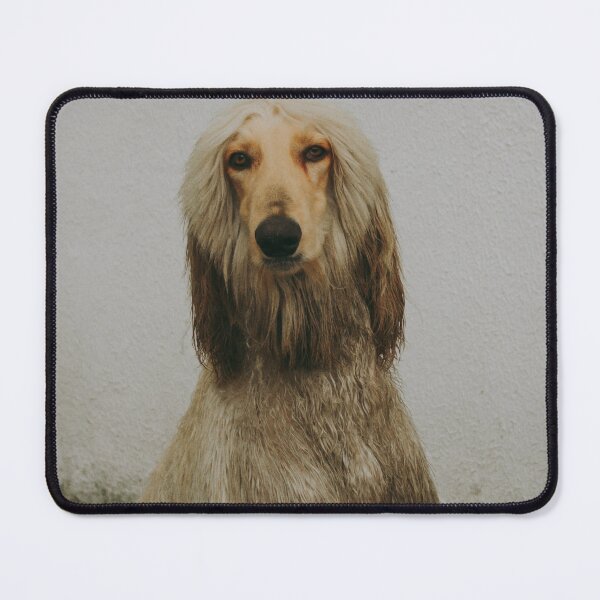 Item preview, Afghan Hound Portrait Photo designed and sold by TheAnimalZ00.