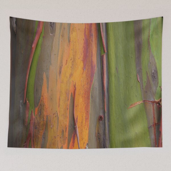 Item preview, rainbow eucalyptus  designed and sold by elenafdzz.