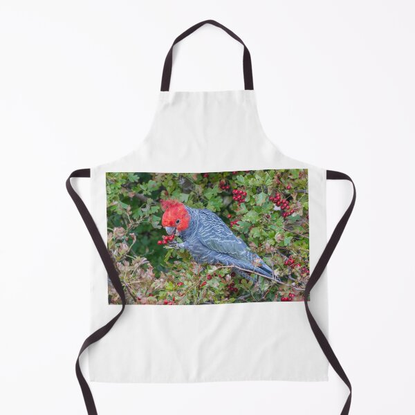 Item preview, Male Gang -Gang eating Hawthorne Berries designed and sold by Wildpix.
