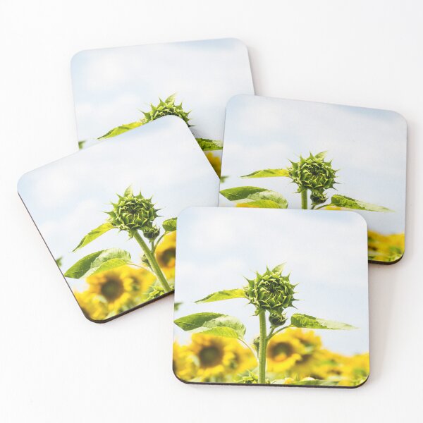 Item preview, Closed sunflower designed and sold by Tirish56.