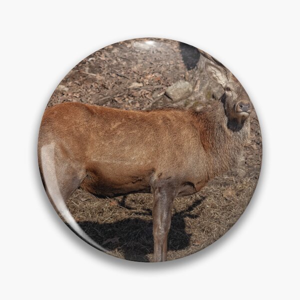 Item preview, Red Deer designed and sold by Eunice Gibb.