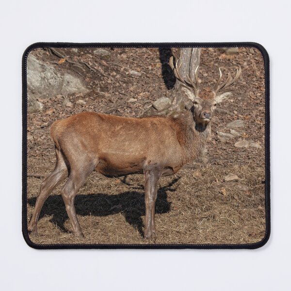 Item preview, Red Deer designed and sold by Eunice Gibb.