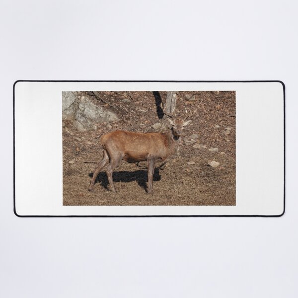 Item preview, Red Deer designed and sold by Eunice Gibb.