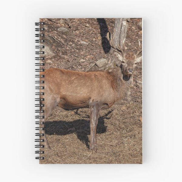 Item preview, Red Deer designed and sold by Eunice Gibb.