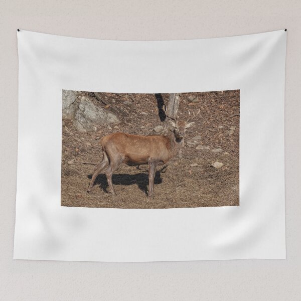 Item preview, Red Deer designed and sold by Eunice Gibb.
