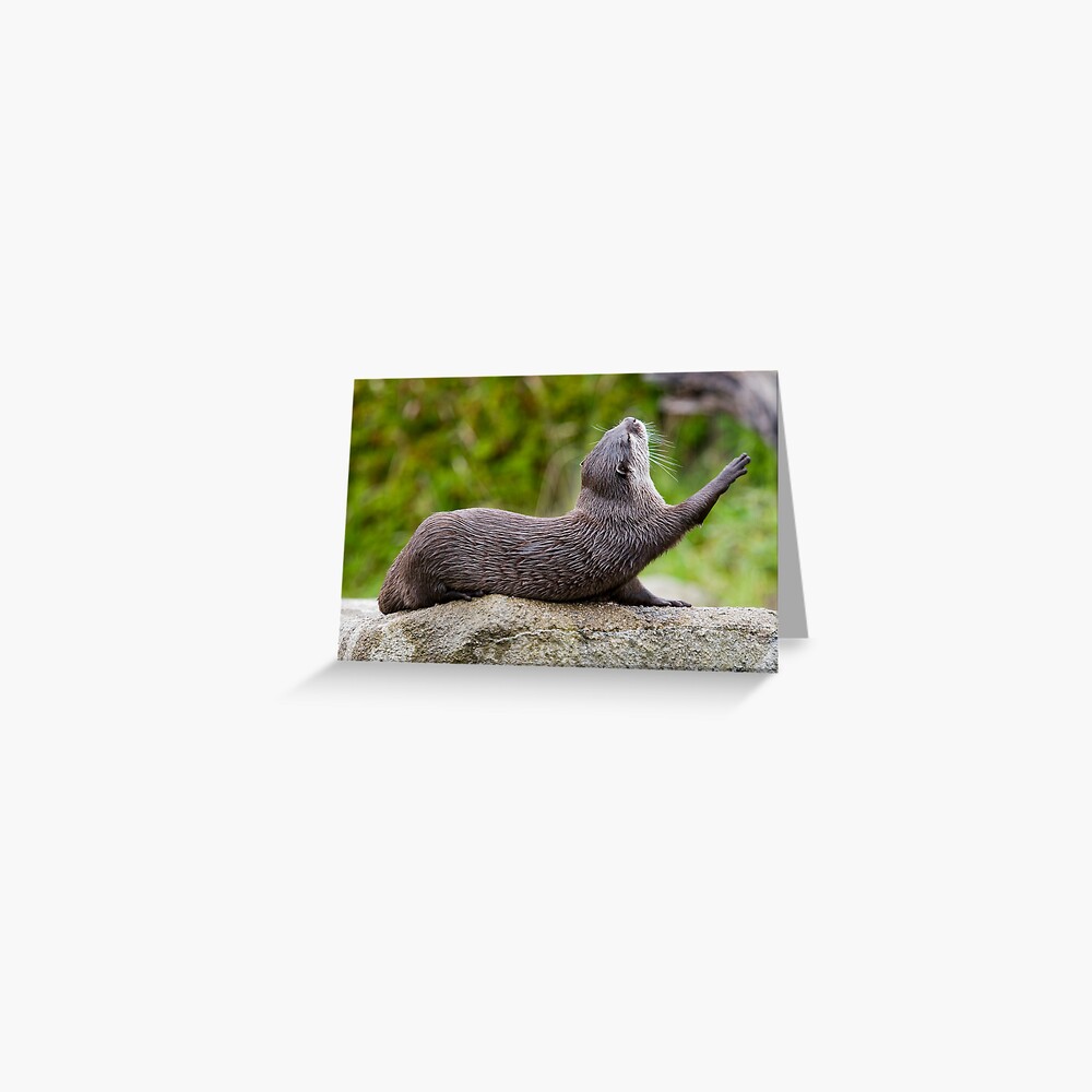 Morning exercise Greeting Card